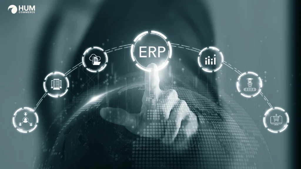 Wholesale Growth with ERP, PIM & eCommerce Integration